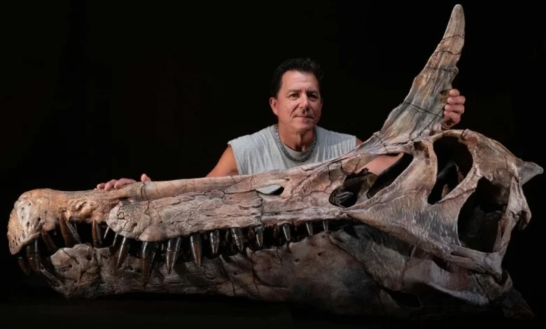 Astonishing Spinosaur Unearthed in The Sahara Is Unlike Any Seen Before