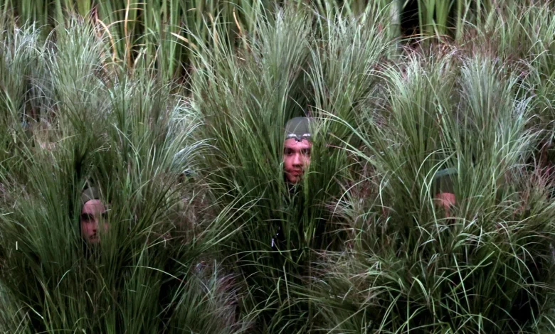 Bad Bunny Bush-People Interview