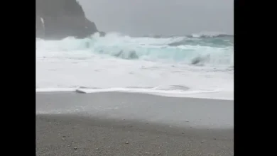 Beach Visit Turns Dangerous: Quick-Thinking Couple Saves Family