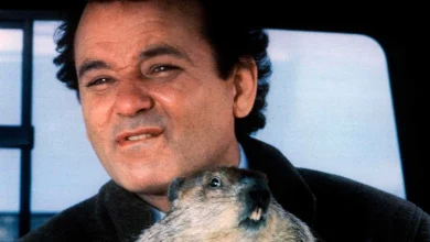 Bill Murray Learned “Groundhog Day ”Woodchuck Was Wild After It Bit Him Twice During Filming