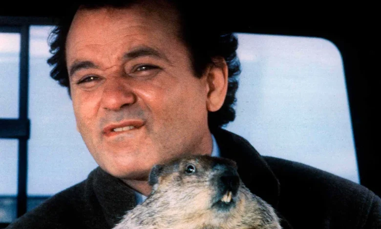 Bill Murray Learned “Groundhog Day ”Woodchuck Was Wild After It Bit Him Twice During Filming