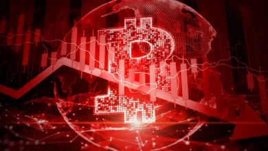 Bitcoin Crashes as Crypto Investors Whine About People Making Fun of Them