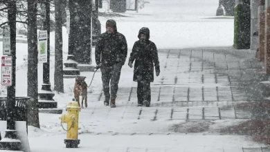 Bitter cold takes aim at South as millions remain under winter weather alerts
