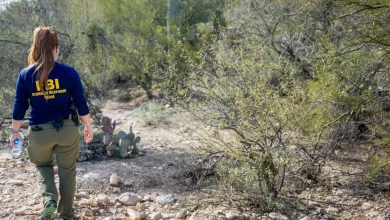 Black gloves found in search for Nancy Guthrie, sources close to the investigation say