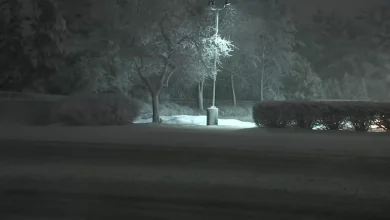 Blizzard 2026: Latest snow totals in Philadelphia, Pa., NJ, and Delaware