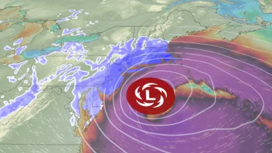 Blizzard whips Northeast with whiteout conditions, dangerous winds and power outages