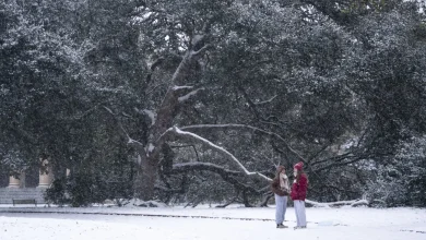 Bomb cyclone brings bitter cold and snow to the Southeast : NPR