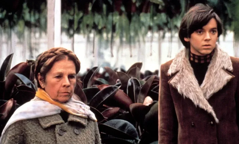 Bud Cort, ‘Harold and Maude’ Star, Dies at 77