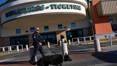 CBP shot down party balloons with anti-drone tech before FAA closed El Paso airspace, sources say