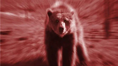 CHART: Friday massacre for mining stocks but copper price pulls out of nosedive