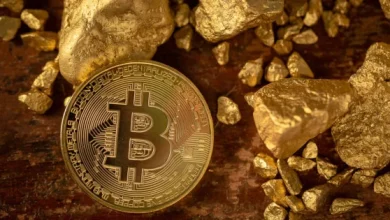 Celo Highlights Key Blockchain Developments and Ecosystem Growth