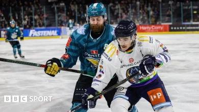 Challenge Cup: Belfast Giants v Coventry Blaze postponed after flight cancellation