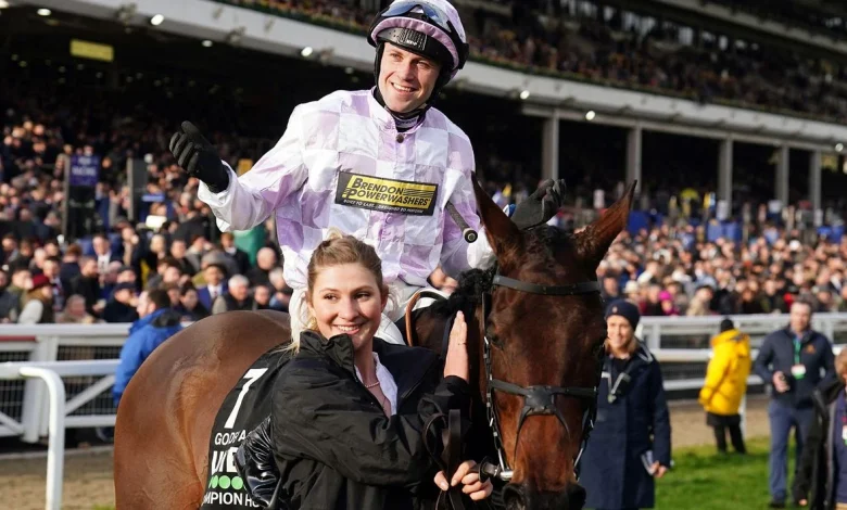 Cheltenham Festival news: Golden Ace comes through racecourse gallop ahead of Champion Hurdle