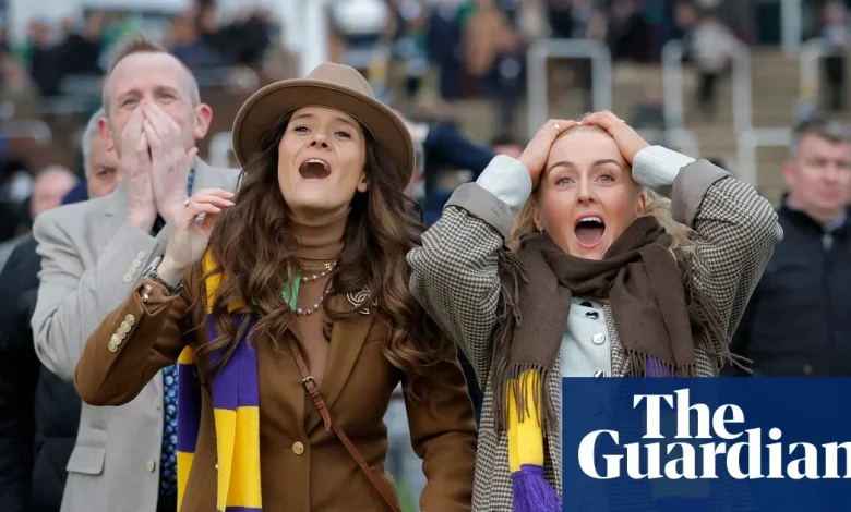 Cheltenham hopeful of ticket-sale turnaround for festival after three years of decline