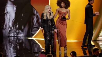 Cher Mixes Up Grammy Win, Seemingly Forgets to Present Category After Accepting Lifetime Achievement Award