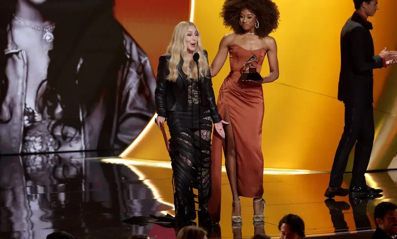 Cher Mixes Up Grammy Win, Seemingly Forgets to Present Category After Accepting Lifetime Achievement Award