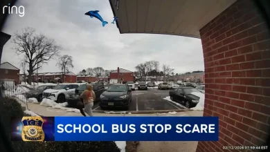 Children flee bus stop after ICE agents spotted in Lindenwold, school district says