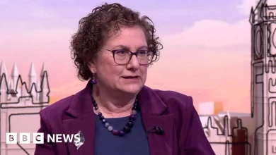 Children 'weaponised' by both sides of trans debate, Cass says