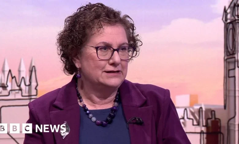 Children 'weaponised' by both sides of trans debate, Cass says