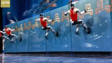 Chinese Robots Can Now Run Up Walls