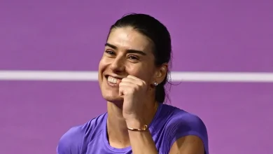 Cîrstea revine în top 30 WTA