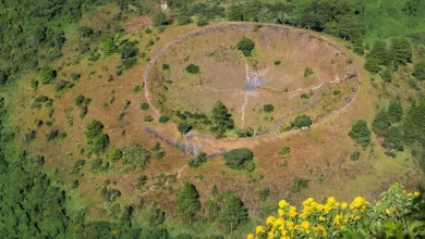 Claude Cowork’s plug-ins the newest reason for software stocks to crater