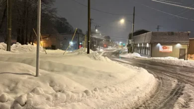 Clean-Up Underway After Metro Snowstorm, Delayed Start for Many