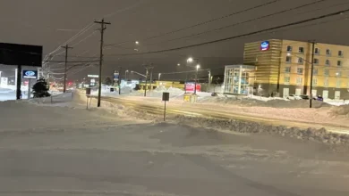 Cleanup Underway on Avalon After 40+ cm Snowfall