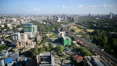 Climate adaptation: The investment the Global South cannot afford to delay