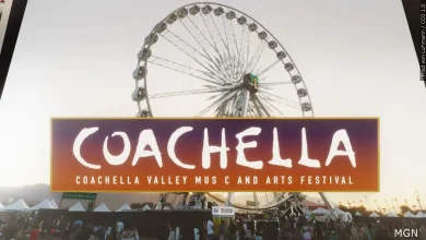 Coachella releases Quasar lineup, including David Guetta, DJ Snake, and more