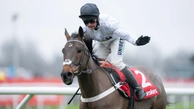 Constitution Hill usurped as favourite by Amo Racing rival on Betfair Exchange with close to £150,000 matched on race