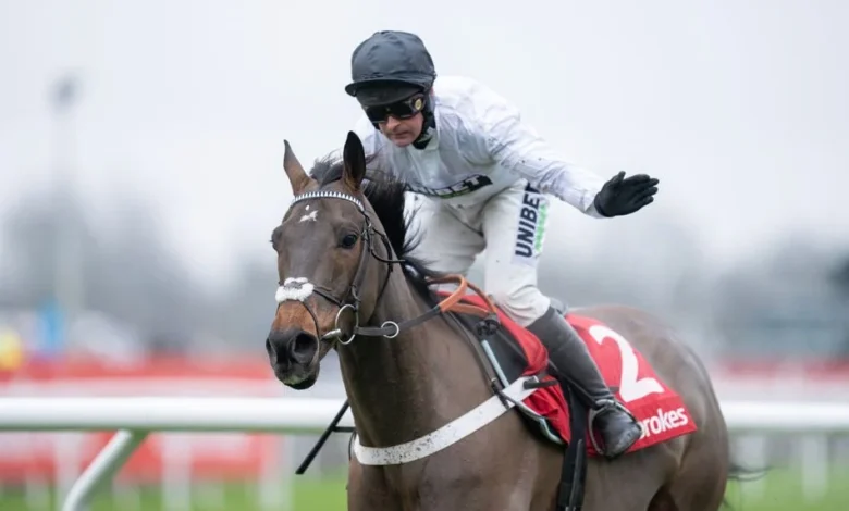 Constitution Hill usurped as favourite by Amo Racing rival on Betfair Exchange with close to £150,000 matched on race