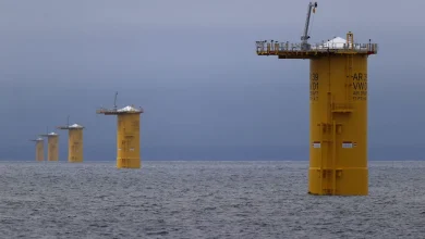 Court orders restart of all US offshore wind construction
