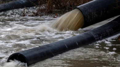 D.C. mayor declares Potomac sewage spill an emergency