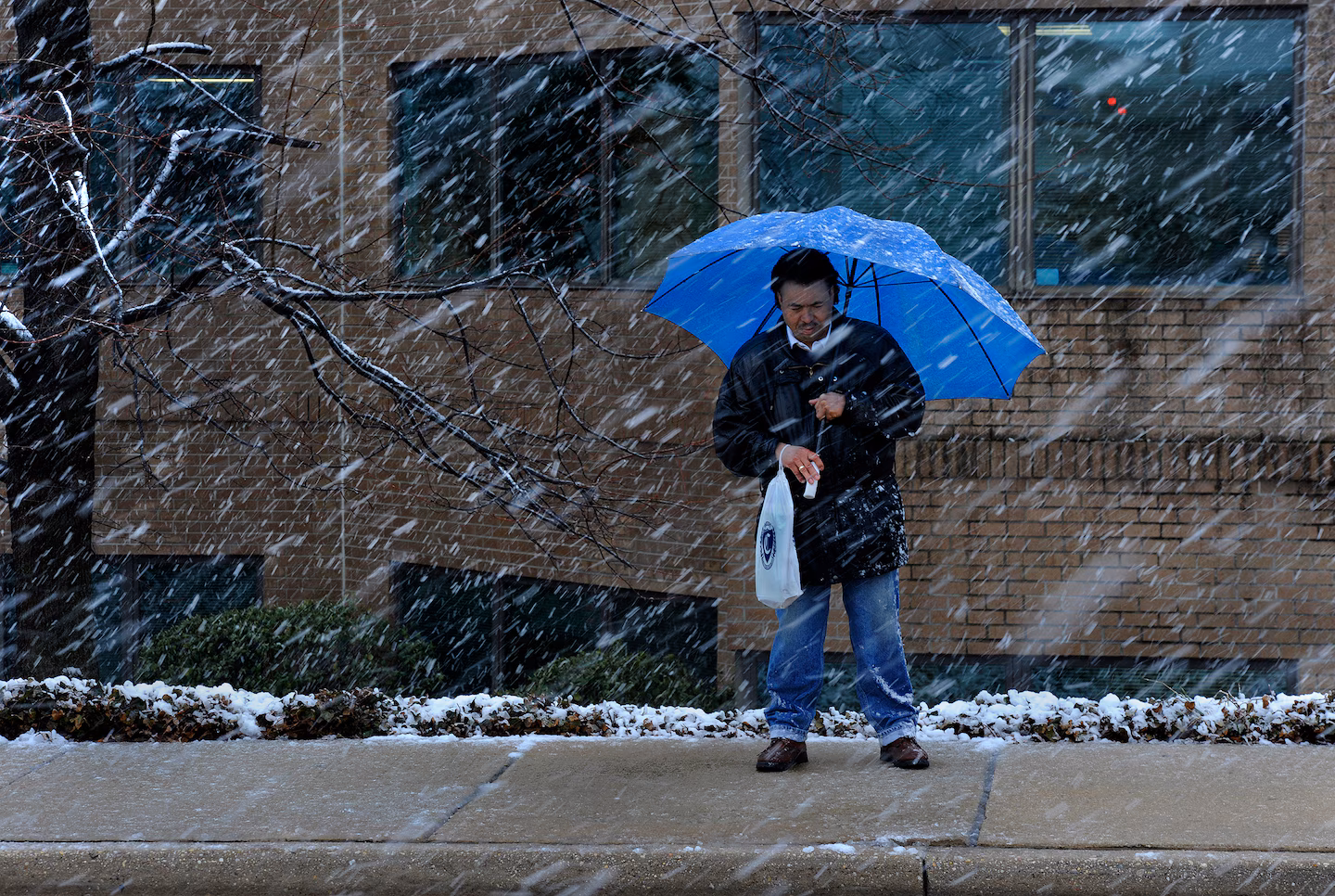 D.C. winter storm forecast: How much snow will fall