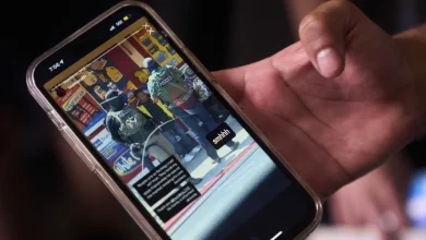 DHS Pressures Platforms for Identities of Anti-ICE Users