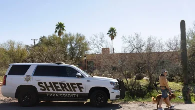 DNA from Nancy Guthrie's house may not provide enough evidence to help investigators, sources say