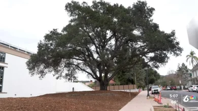 DUI checkpoints, Adam Sandler in SB, and John Madden’s influence at Cal Poly