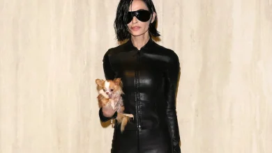 Demi Moore Is Nearly Unrecognizable After Radical Makeover with Dramatic 'Bob' Hairstyle