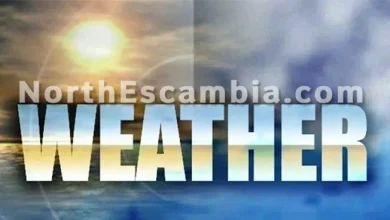 Dense Fog Advisory Overnight