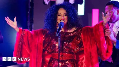 Diana Ross and Raye to headline Brighton & Hove Pride