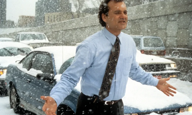 Did Bill Murray Really Get Bitten by the Groundhog From ‘Groundhog Day’?