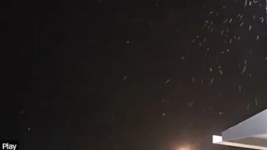 Did it snow in Tampa Bay last night? Some flurries reported