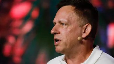 Discord cuts ties with Peter Thiel-backed verification software after code found in US surveillance