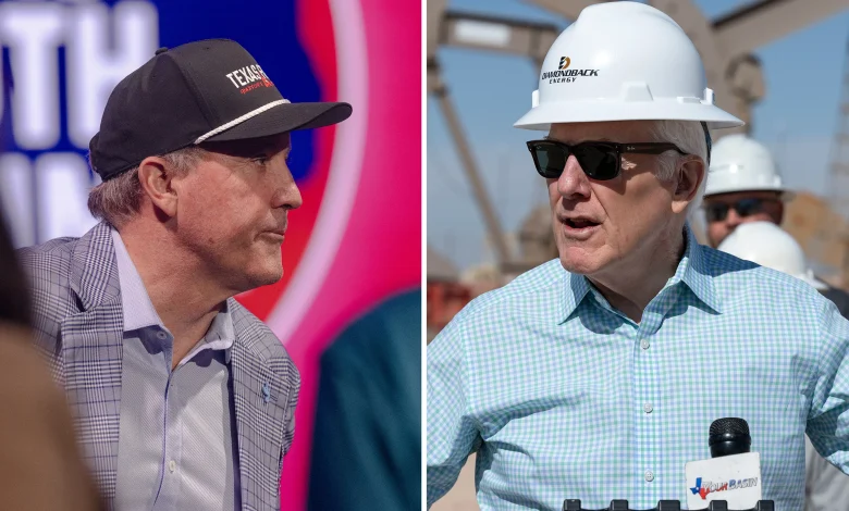 Down-ballot races at stake in Texas GOP Senate primary