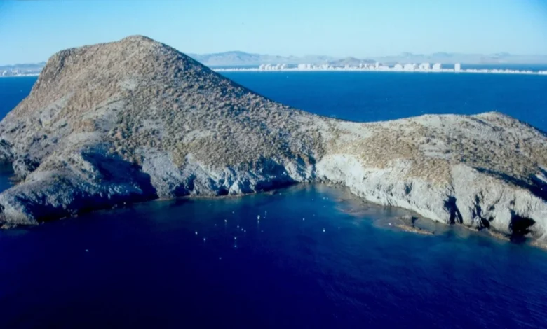 Ecologistas piden más protección para las 23 islas de la costa murciana