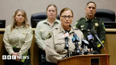 Eight skiers found dead after California avalanche