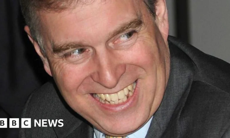 Emails reveal more details of Epstein's celeb dinner for Andrew