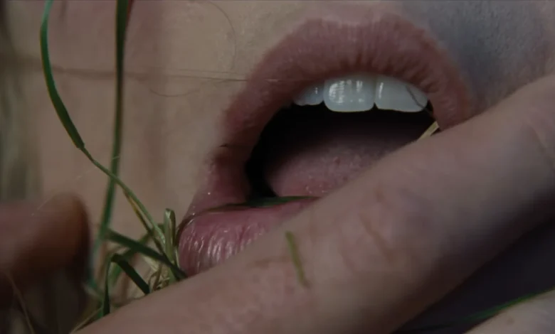 Emerald Fennell Now Going Moor-To-Moor Trying To Shock People