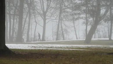 Emmet County weather forecast Tuesday calls for freezing fog